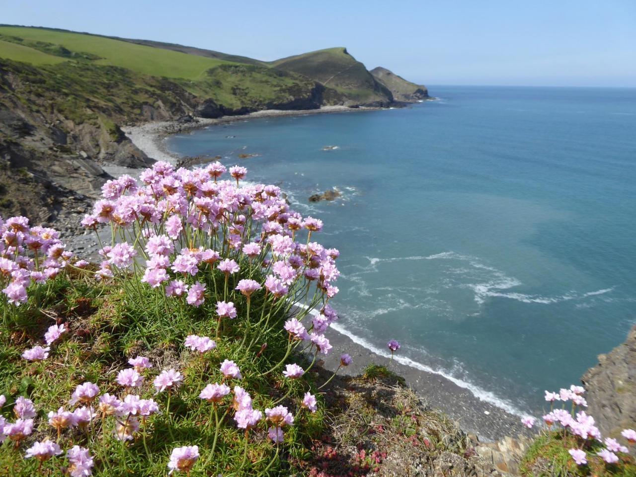 Lower Tresmorn Farmhouse Crackington Haven Exterior photo